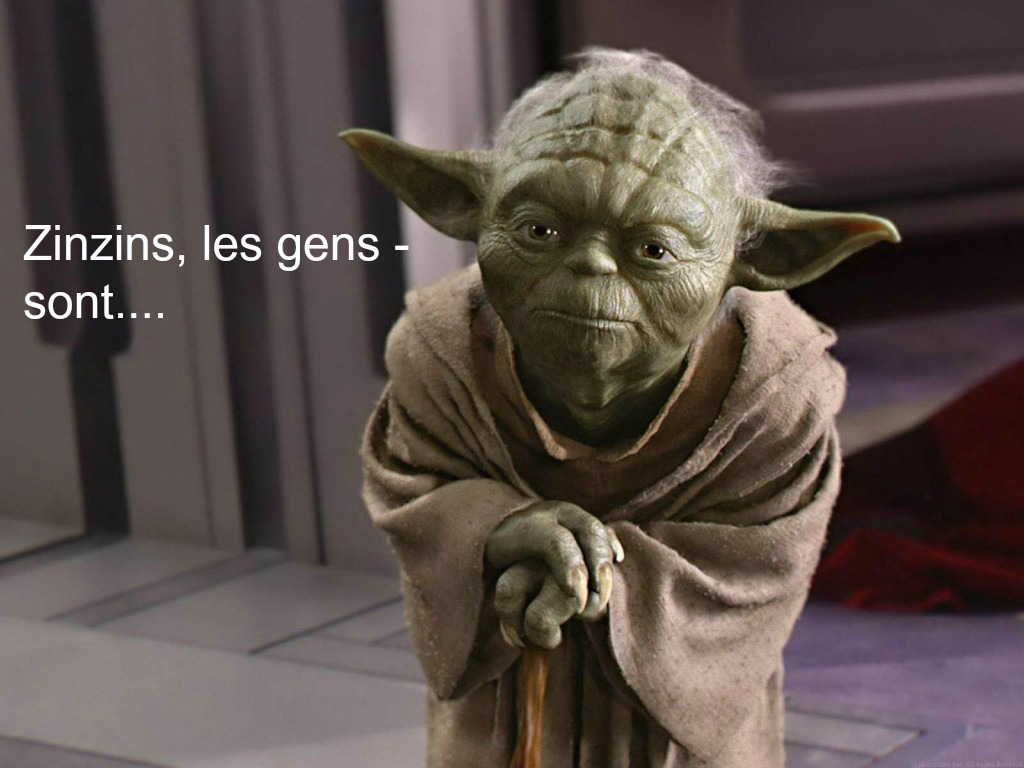 presentation Maitre-yoda