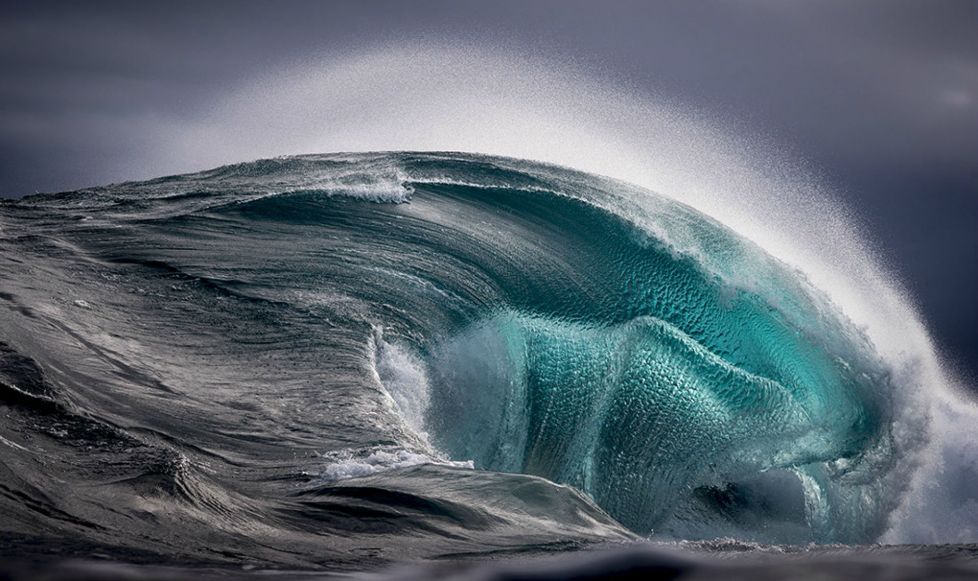 Belles photos marines Sea_Monster_-_Ray_Collins1