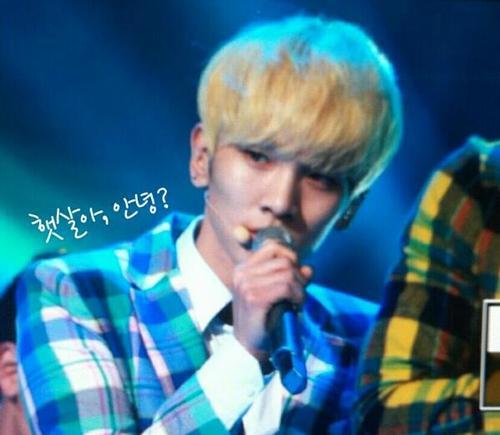 130305 Key @ KBS Open Concert Tumblr_inline_mj6u7lxEV41qz4rgp