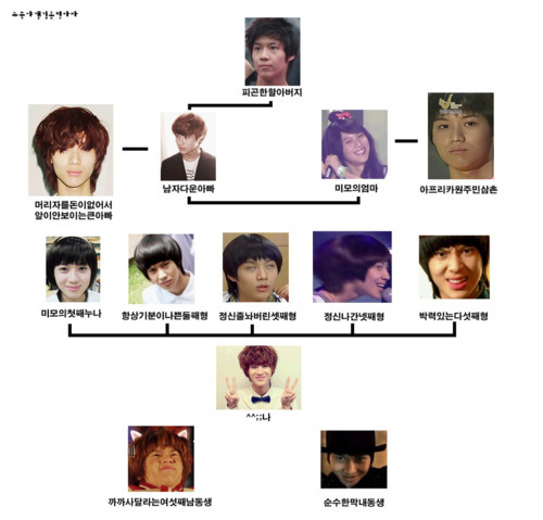 101113 Family Trees Tumblr_lbt4p8IJjb1qcl8qx