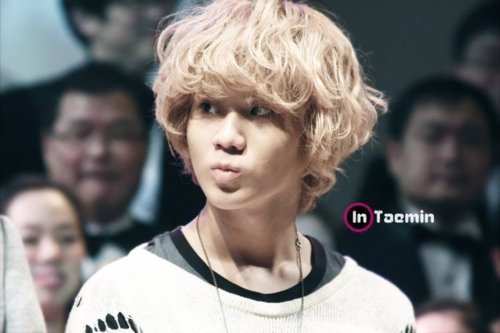 Taemin's Application Tumblr_livs8tUb3l1qdgjlf