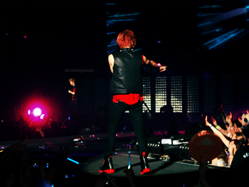 SHINee @ SM TOWN Live World Tour Concert in Paris (SECOND DAY) [110611] Tumblr_lmtpl4ZG5r1qcl8qx