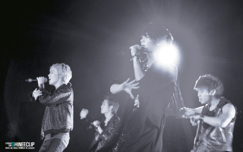 SHINING SHINee @ 6th London Korean Film Festival 111103 #3 Tumblr_lu9w2oXRom1qcl8qx