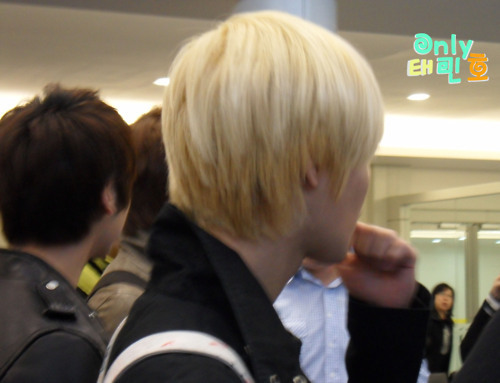 SHINee departure @ Taiwan Taoyuan airport  Tumblr_lvcixtTbjP1qd0fz8