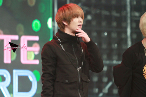 Lovely Leader Onew @ Lotte World 7th Pre-Christmas Festival Tumblr_lwamb2zB431qcl8qx