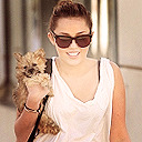 Miley Cyrus - Sayfa 2 Tumblr_lwnj0esJu41r2u1am