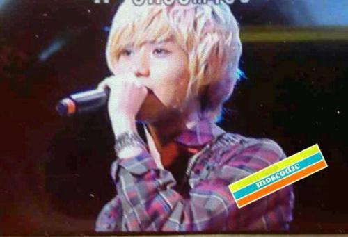 241211SHINee @ ‘The First’ Japan Album Tokyo Showcase Tumblr_lwp4ulNEbq1qcl8qx