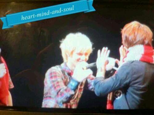 241211SHINee @ ‘The First’ Japan Album Tokyo Showcase Tumblr_lwp4vcNG3a1qcl8qx