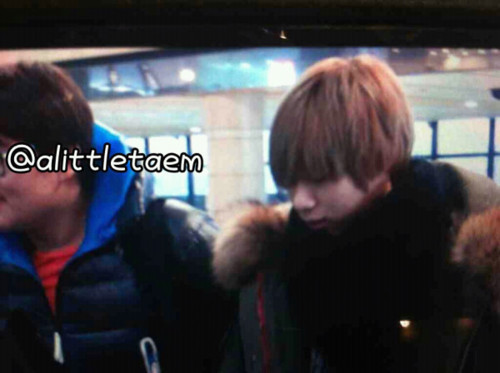 120106 SHINee @ Gimpo Airport Tumblr_lxcns549CD1qcl8qx