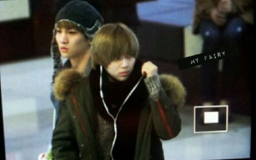 120106 SHINee @ Gimpo Airport Tumblr_lxco1jPvO21qcl8qx