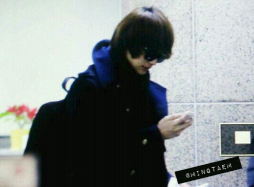 120106 SHINee @ Gimpo Airport Tumblr_lxcp3uqWqA1qcl8qx