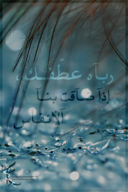 عبارات في صـور Tumblr_lxy9hjYO2J1qgojex