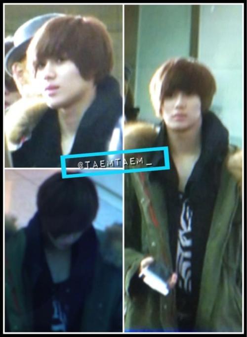 060212 SHINee rumbo a París Tumblr_lz015bifiZ1qcl8qx