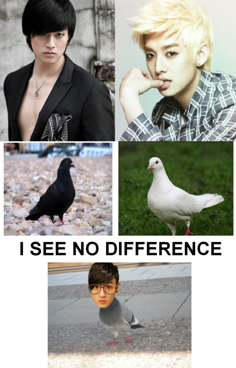 {Actu}[FOTOS] Fanmades memes U-Kiss~ Tumblr_m398mrNfUY1r0b8um