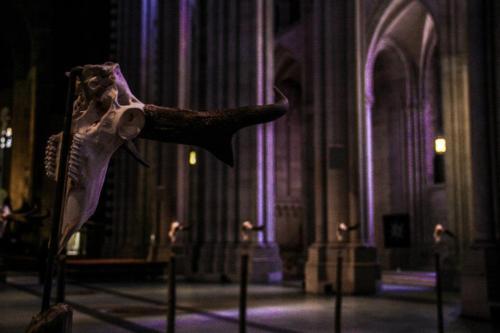 Exposición "artistica" satánica/pagana en la Iglesia Catedral Jesuita Saint John the Divine de Nueva York! Tumblr_m3ar7lzonW1qzyvjm