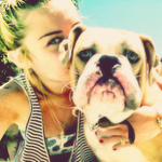 Miley Cyrus Tumblr_m7524g6Q9P1qmaiup