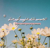 رمزيآت مسن منقولة  Tumblr_m8vg710cTE1qf1rkb