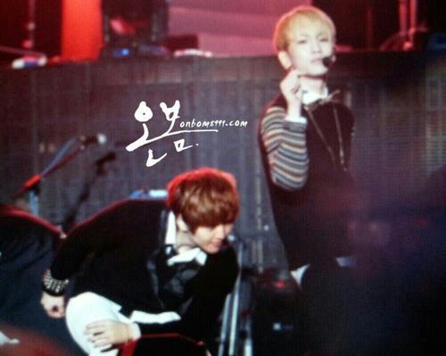  121117 SHINee @ Shanghai White Music Festival Tumblr_mdmx2gDeoE1qcl8qx