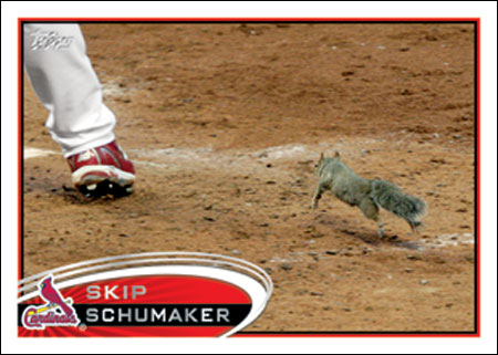 Squirrels! - Page 3 Squirrel-Topps-2012