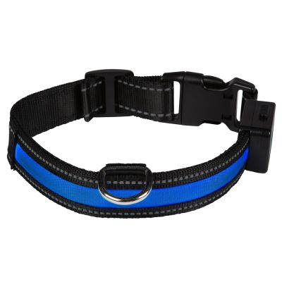 Equipement pour balade de nuit 70073_pla_eyenimal_leuchthalsband_usb_blau_hs_01_1