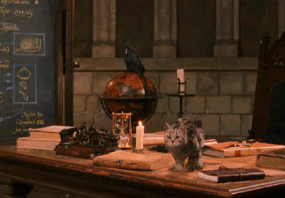 Gifs Harry Potter  Giphy