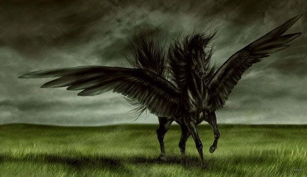  خلفيات سوداء رائعة 2011 Black-horse-wallpaper