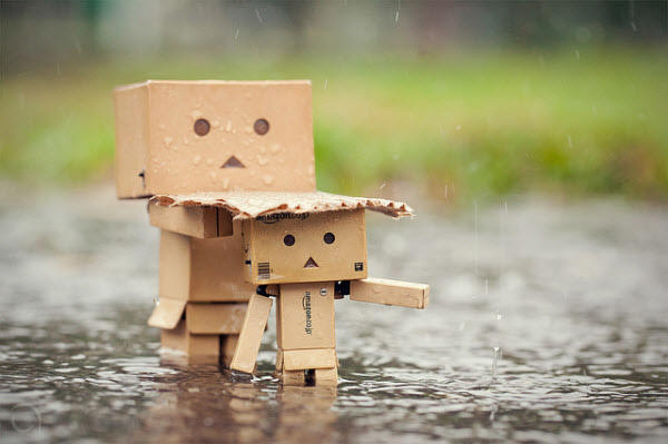 صور دانبو Danbo*رجل الكرتون* من تجميعي,, Rainy-days