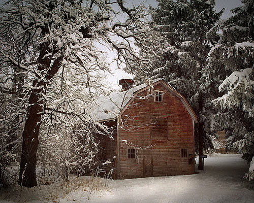 صور شتاء اوروبا Barninwinter