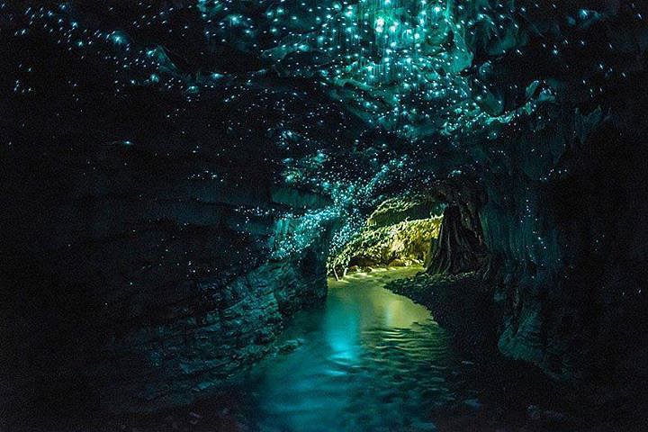 83 địa điểm rất đẹp trên thế giới Glowworm-Caves-New-Zealand