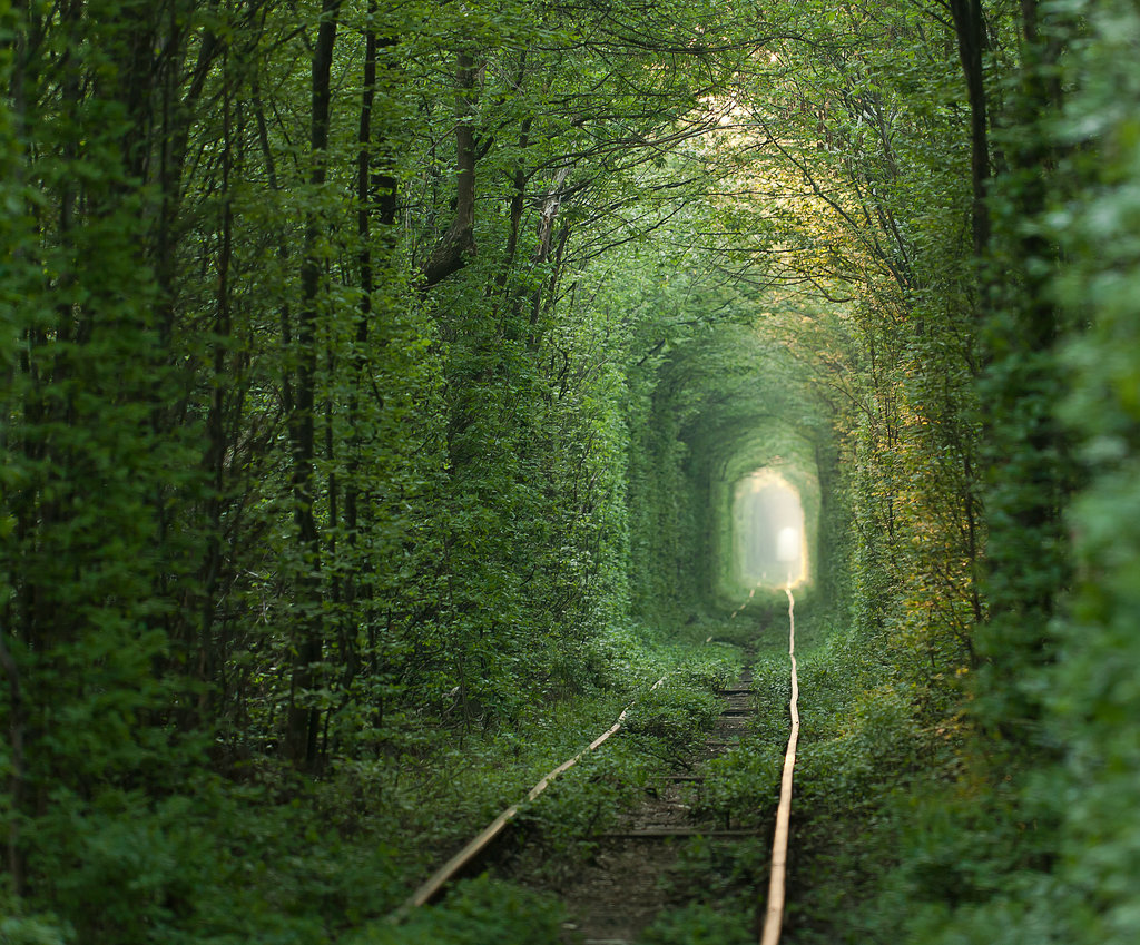 83 địa điểm rất đẹp trên thế giới Tunnel-Love-Ukraine