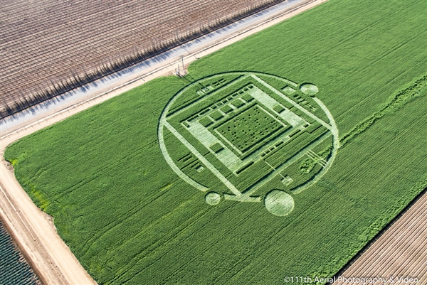 #Misterio en Salta: aparecieron círculos OVNI en campos de trigo#Nuevos Círculos de las Cosechas en 2011 al 2015 - Página 13 131230-crop-circles-hmed-728p.photoblog600