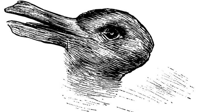 Rabbit or duck? This 124-year-old drawing has both if you can spot them Rabbit-duck-drawing-tease-today-160215_48fe2de007003bff87240c2107aaa762.today-inline-large