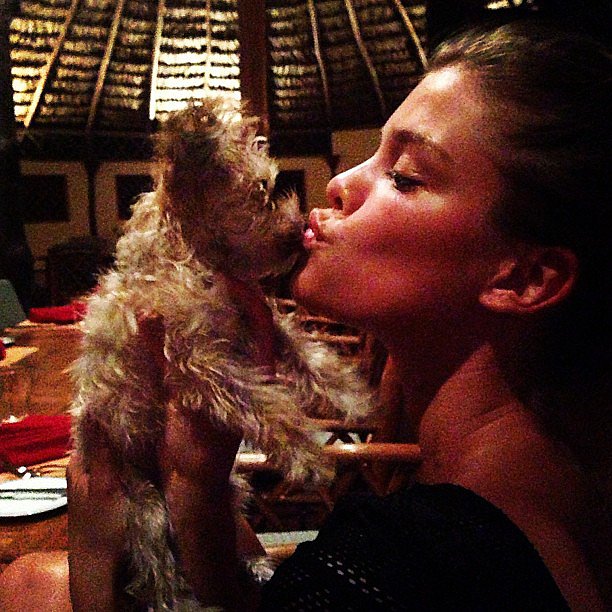 @babycake - Page 2 Nina-Agdal-doesnt-shy-away-from-bringing-her-little-dog-dinner