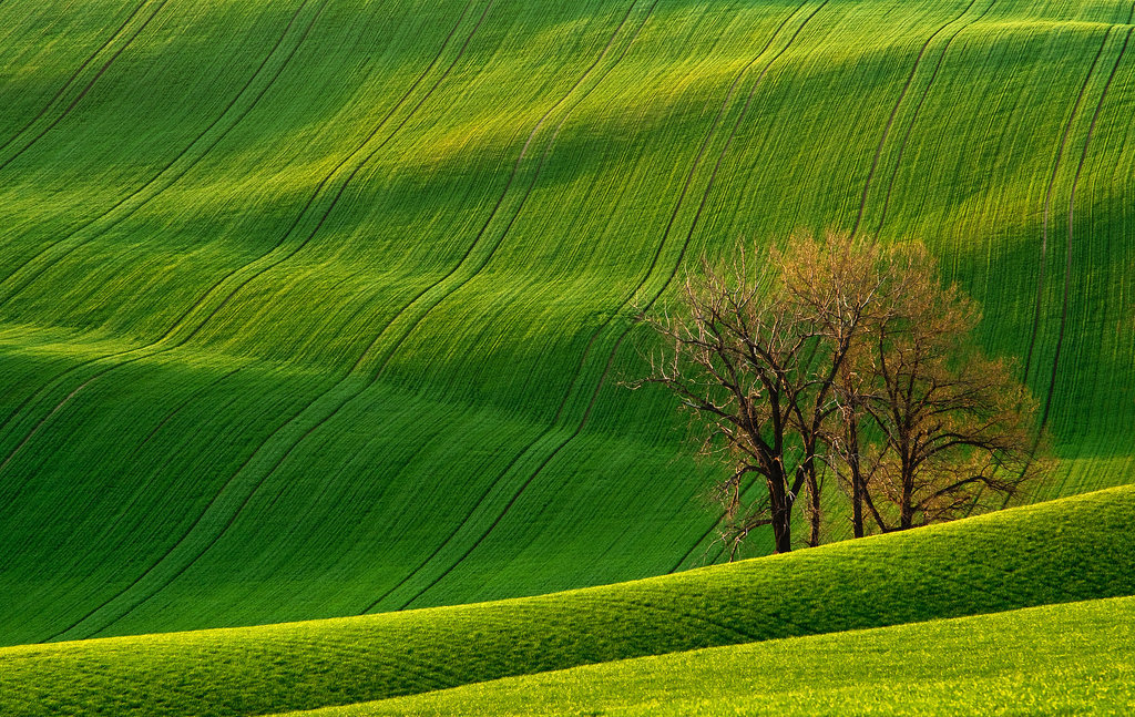 83 địa điểm rất đẹp trên thế giới Rolling-Hills-Czech-Republic