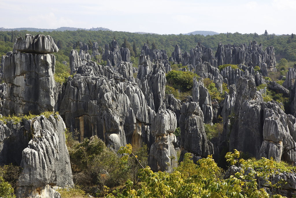 83 địa điểm rất đẹp trên thế giới Stone-Forest-China
