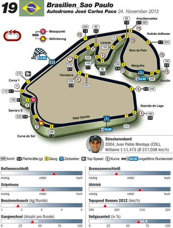 [Real F1] GP Brasilien/ Sao Paulo 977_20132221014834