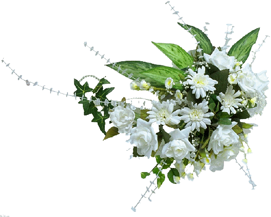 isadunord Gif-fleurs-qzPNCmrQra