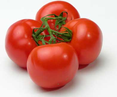 زراعة الطماطم  Tomatos-3452390