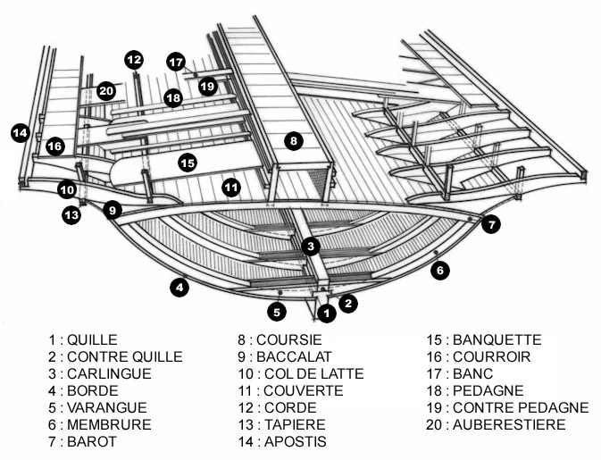 Le bois : créateur de Destruction et de Chaos. Galere%20-%20plan%20en%20coupe