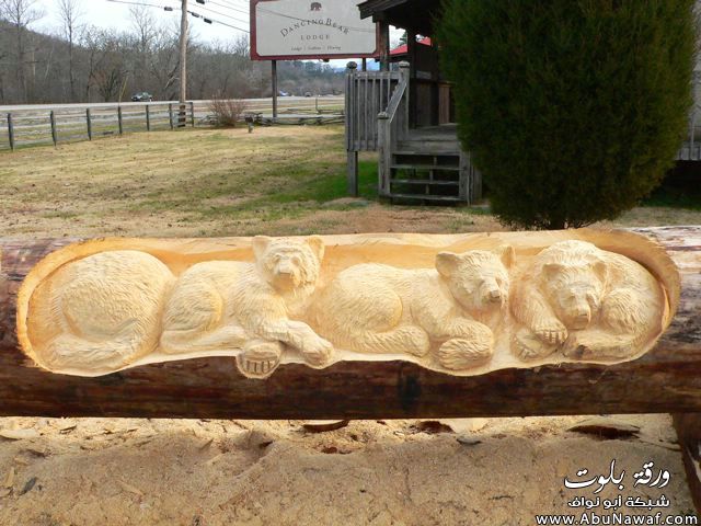  فن النحت على جذوع الشجر Sculptures in the trunks of trees 737