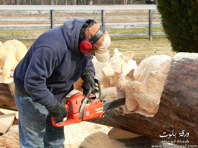 ؛؛~~ فـنــآن يــنــ ح ــت عـلى .... جــذع شــ ج ـــرة ~~؛؛ 741