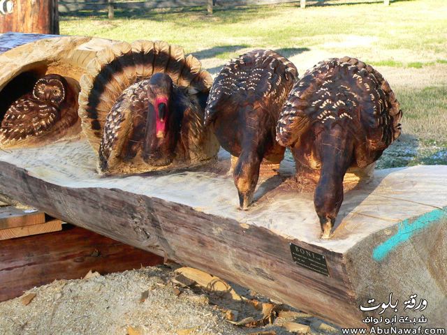 فنان ينحت على الاشجار 751