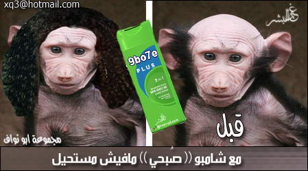 ههههههه صور مضحكه  مع نكت >>>>>>>>> 25