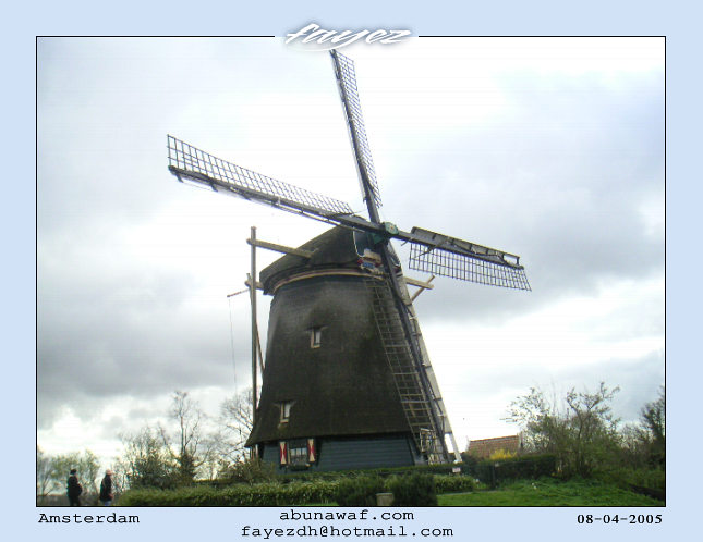 هولندا Holand%20(39)