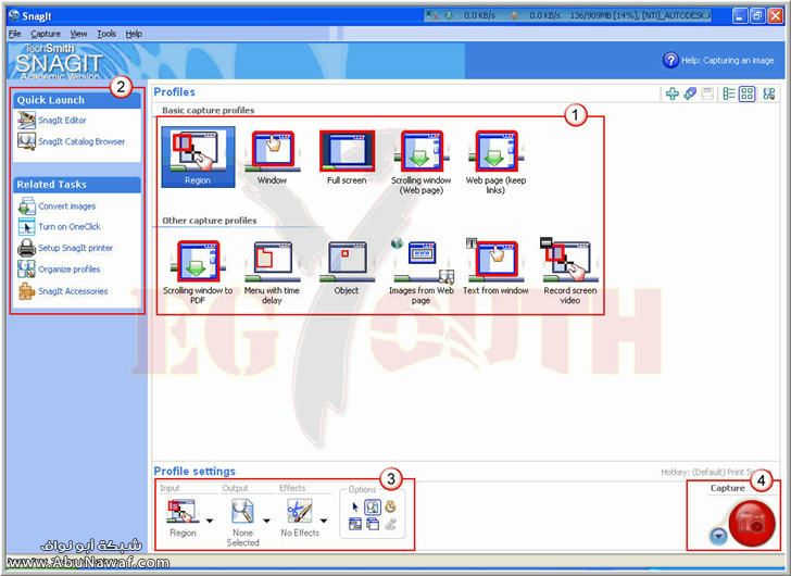    SnagiT 8.2.3   +   Snagitjz3