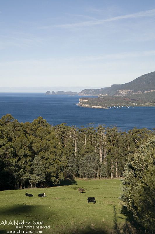  : Tasmania Tas3