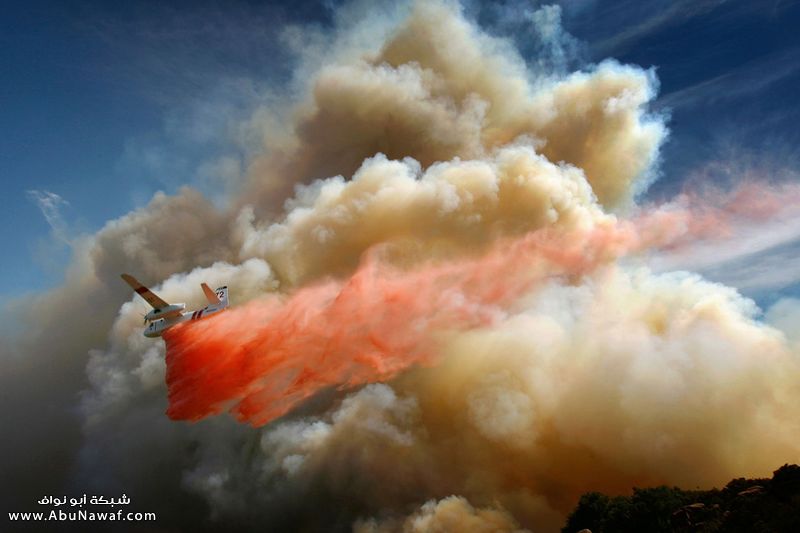 اقوى واهم اللقطات العالمية  المسجلة في سنة 2008 09_calfire1