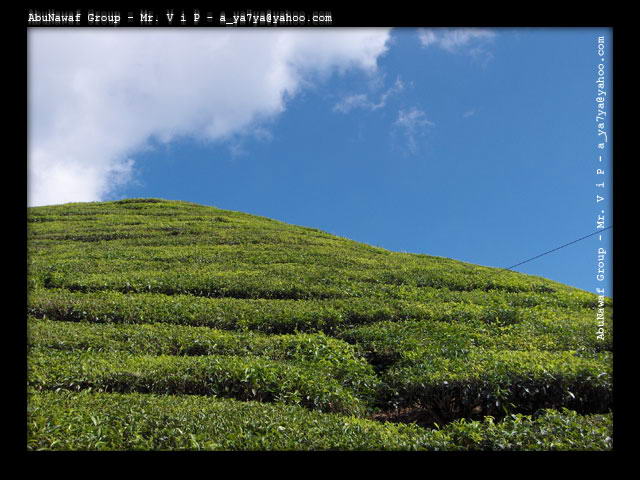 مناظر طبيعية من ماليزيا . Malaysia_05