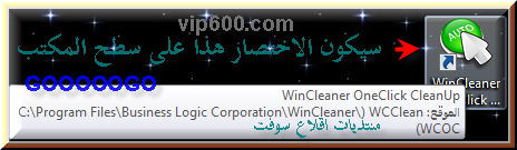   GOOOOOGO  WinCleaner        WinCleanerOneClick%205