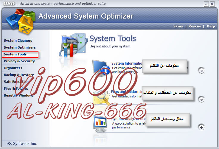  Advanced System Optimize       13